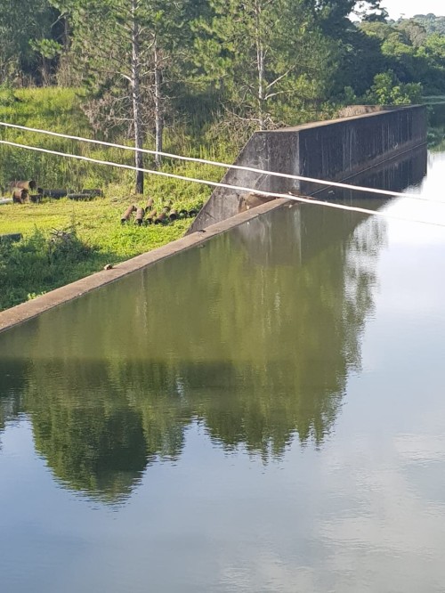 AGER realiza visita a barragem da Corsan