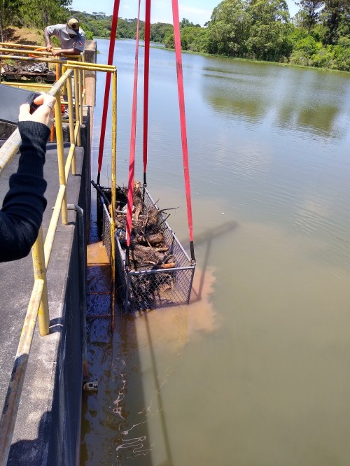 A AGER acompanha limpeza na Barragem de Captação da CORSAN